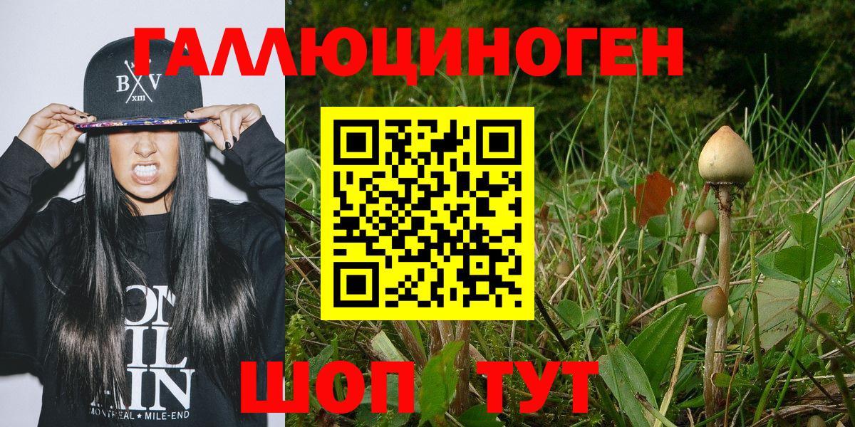 Новокубанск  Галлюциногенные грибы мицелий  Вход с VPN 