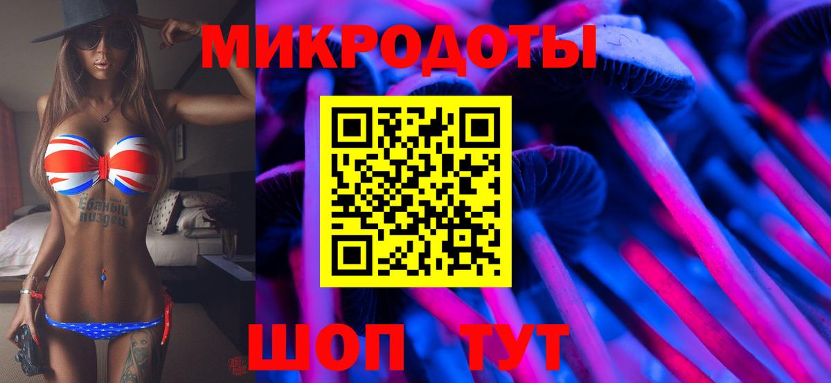 Псилоцибиновые грибы Cubensis Новокубанск
